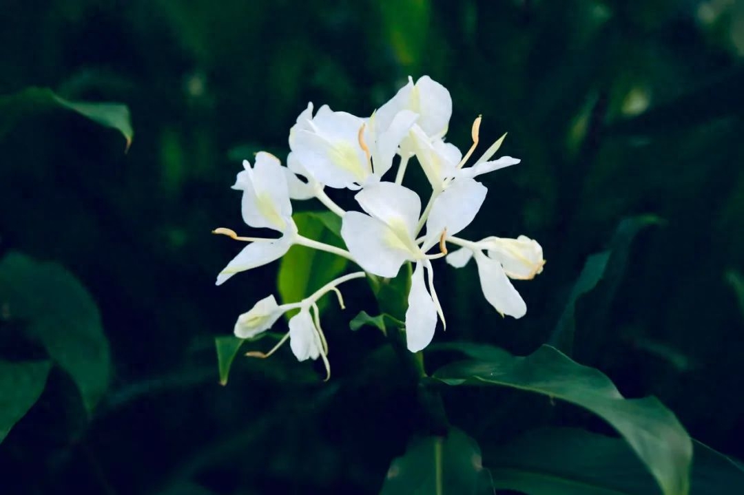 10首唯美《眼儿媚》，你的眼睛里，藏着灿烂星河(图3)