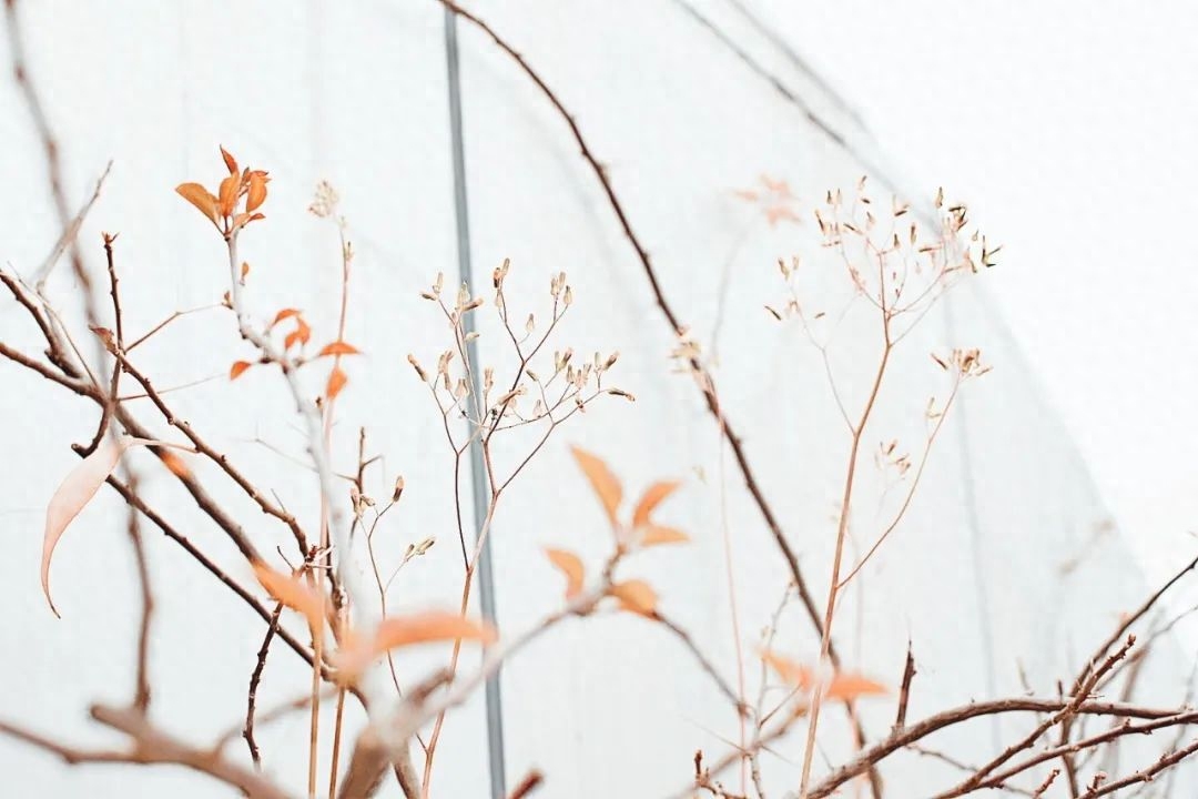 10首唯美《眼儿媚》，你的眼睛里，藏着灿烂星河(图9)