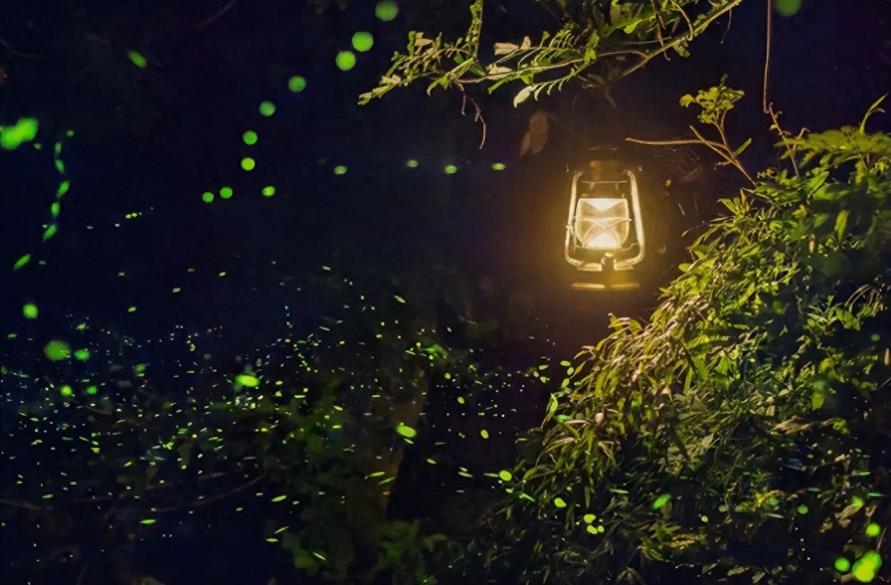 十二首古人描写夏夜的诗词，看古人如何仰望星空，触笔成荫(图3)