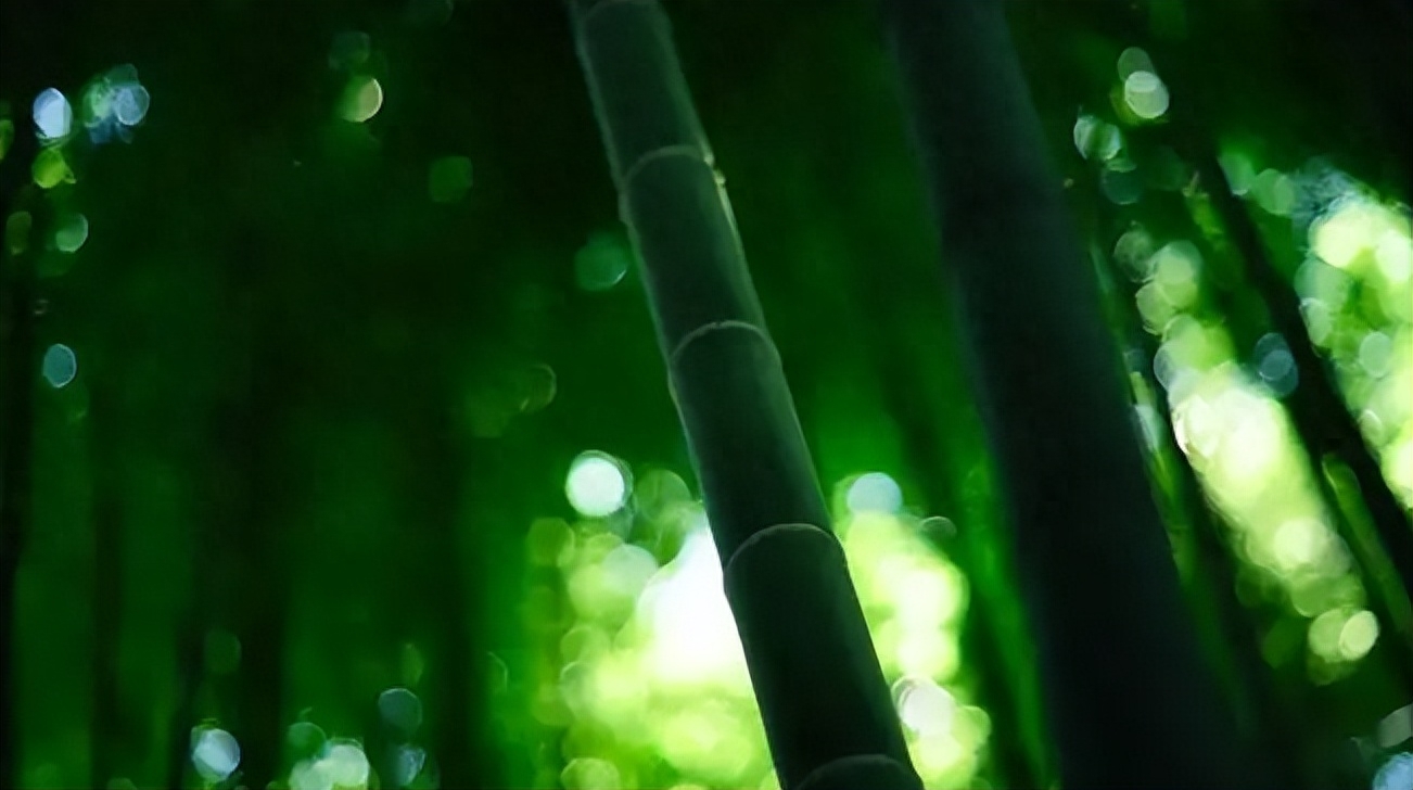 十二首古人描写夏夜的诗词，看古人如何仰望星空，触笔成荫(图15)