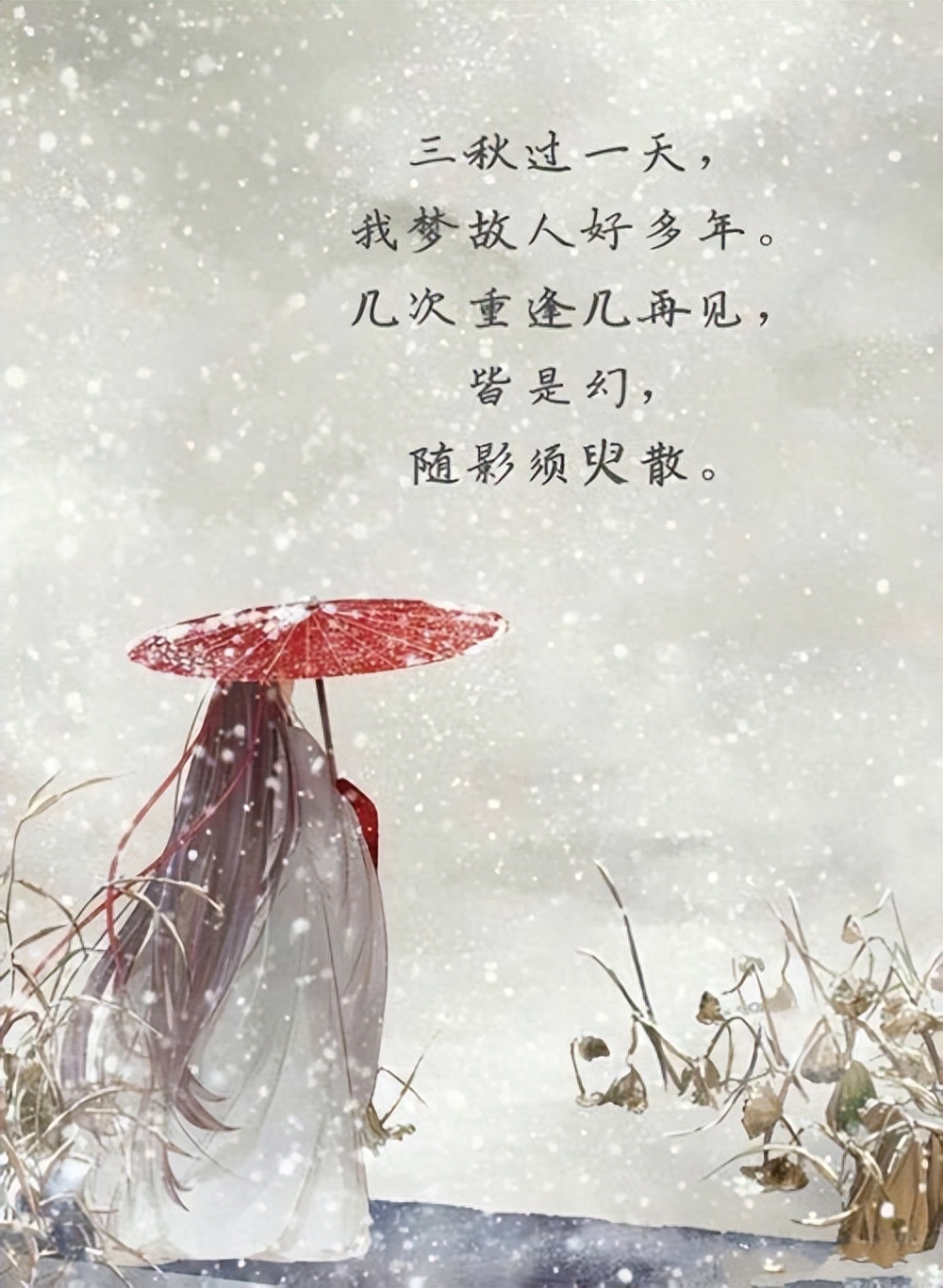 “我与春风皆过客，你携秋水揽星河”全文来了，句句美到窒息(图2)