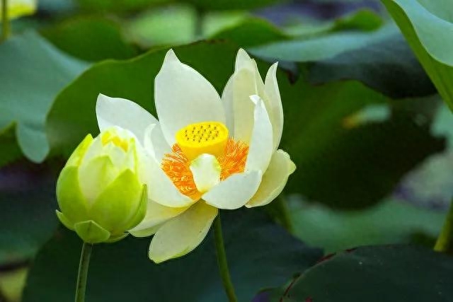 自强不息，厚德载物！修善修福，积善成德(图2)