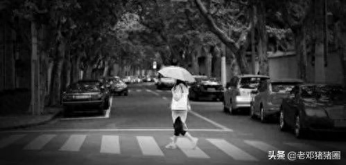 虐心英文简短语句（建议收藏哦！）(图5)