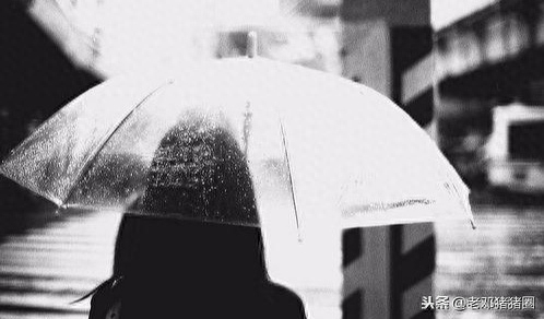 虐心英文简短语句（建议收藏哦！）(图15)