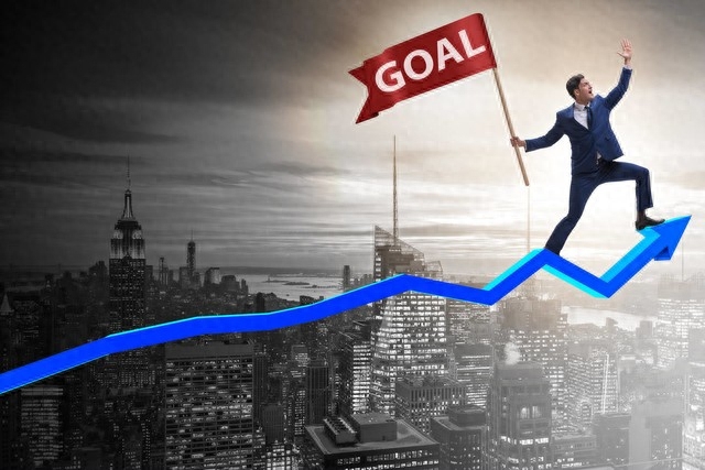 愤青青年的，未来规划和目标(图2)