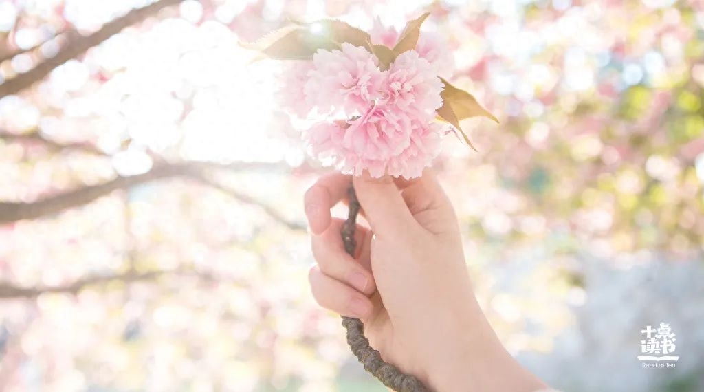 人到中年，性格越怂，生活越好(图2)