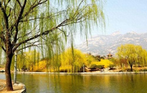 贺知章笔下最美春天，短短四句都是千古名句，结尾更千年无人能越(图2)