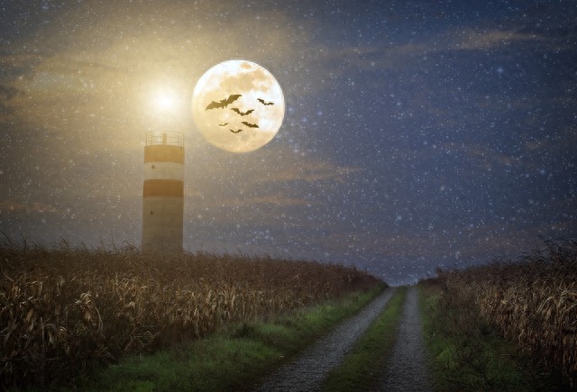 10句关于梦想的名言，点亮人生的灯塔，鼓舞人心(图1)