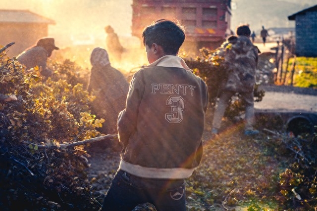 10句关于梦想的名言，点亮人生的灯塔，鼓舞人心(图4)