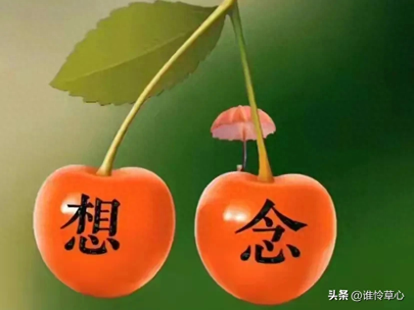 入心的人，是永远的爱，暖心的情，是最甜蜜的浪漫(图1)