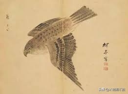 《诗经》中关于鸟的描写，寄予了不同的寓意(图6)