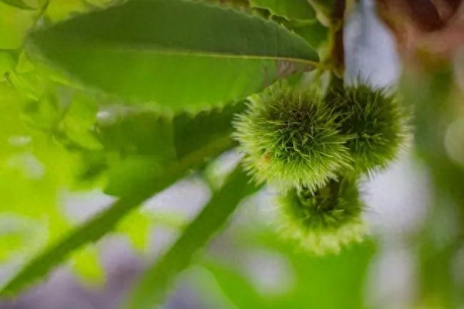 34个激励人心的早安正能量励志语录分享，越读越给力！(图8)