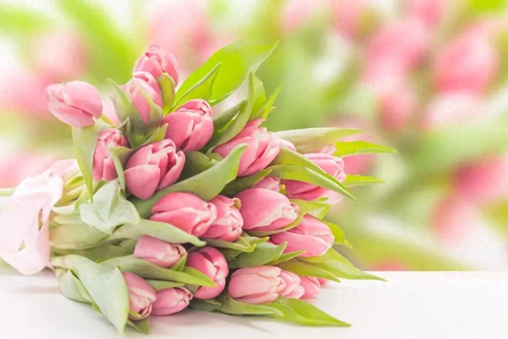 34个激励人心的早安正能量励志语录分享，越读越给力！(图11)