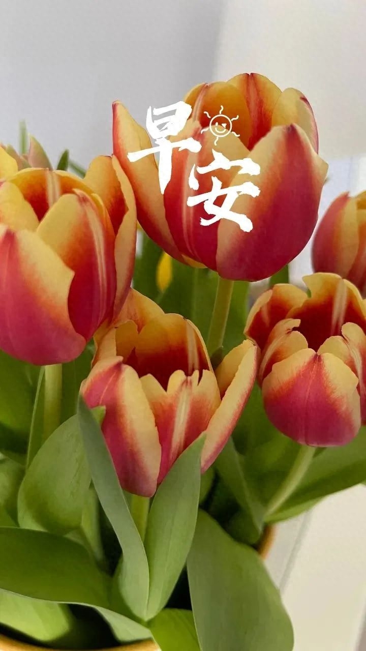 34个激励人心的早安正能量励志语录分享，越读越给力！(图24)