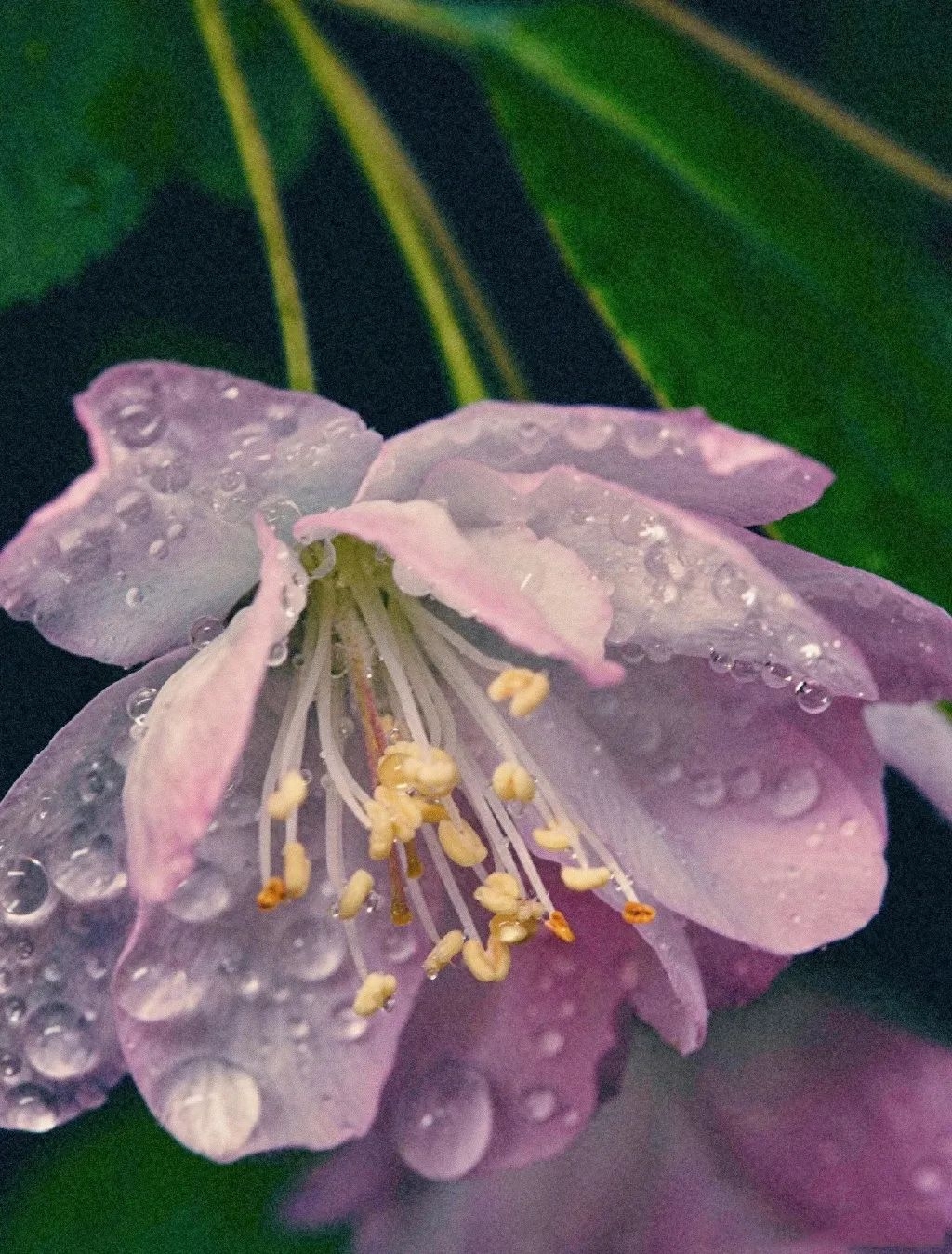 34个激励人心的早安正能量励志语录分享，越读越给力！(图32)