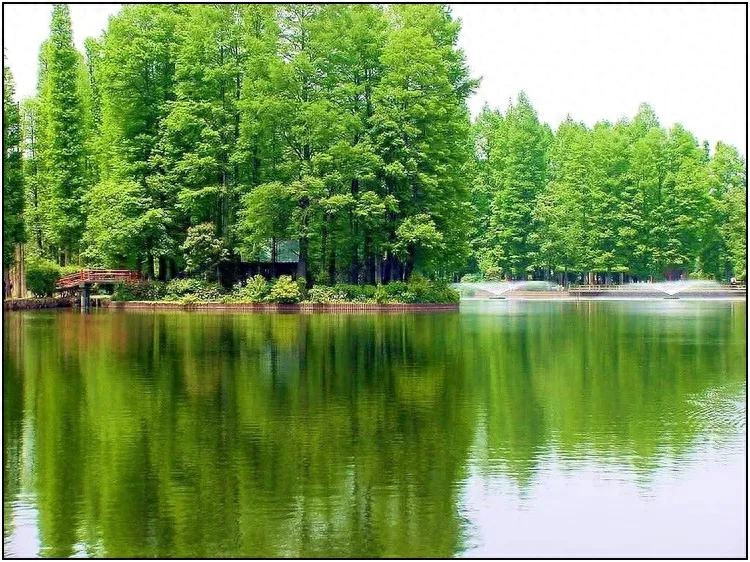 扎心语录，句句入魂2(图1)