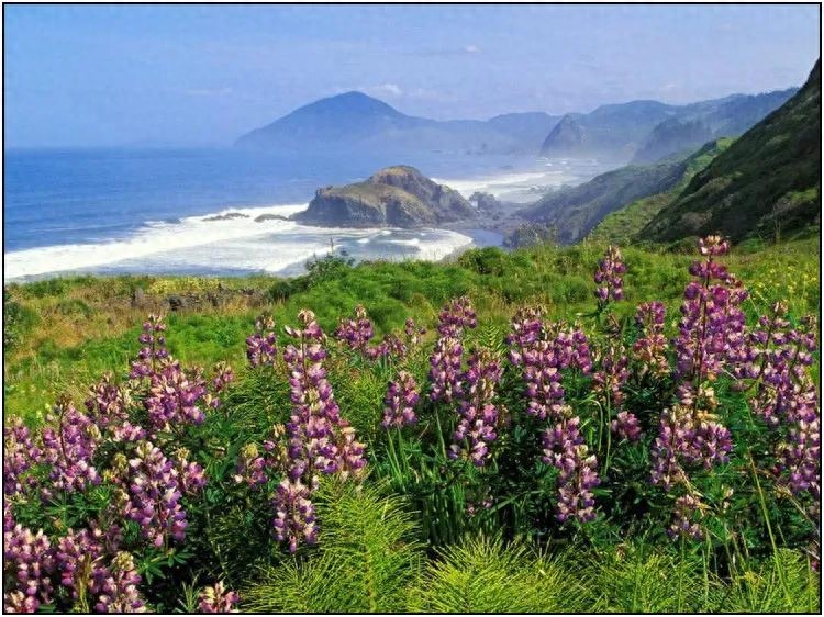 扎心语录，句句入魂2(图2)