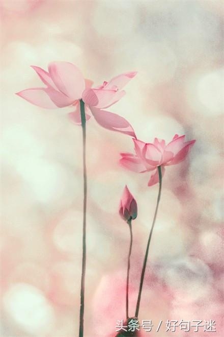 20条佛心禅语悟人生，句句博大精深，不看亏大了！(图7)