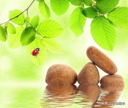 12首最精美的小禅诗，会让心安静下来(图3)