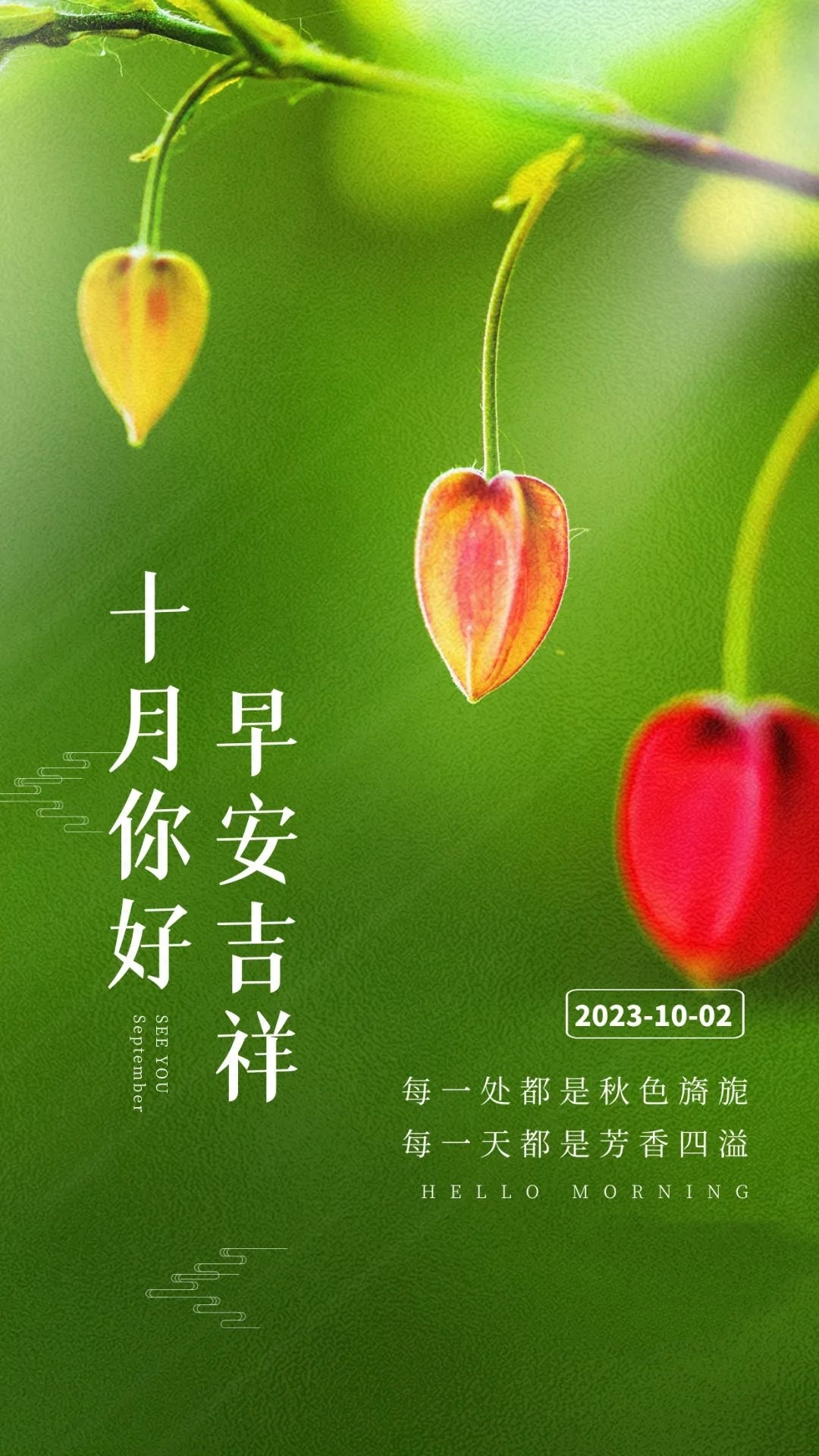 「2023.10.02」早安心语，正能量坚持努力的美好句子 暖心说说图片(图15)