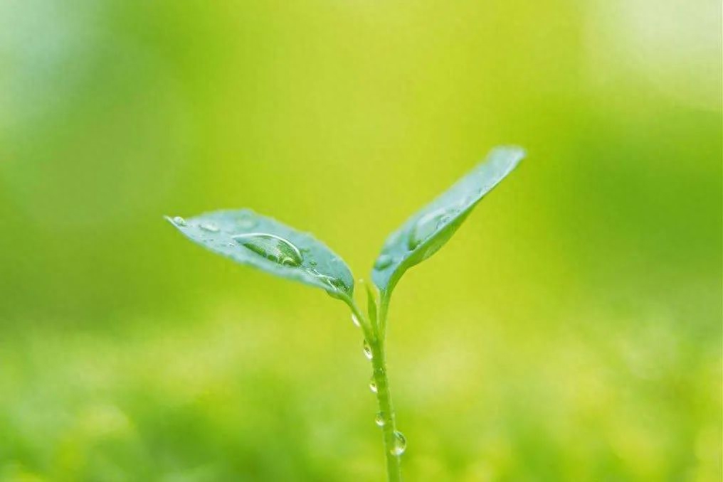 「2023.10.02」早安心语，正能量坚持努力的美好句子 暖心说说图片(图17)