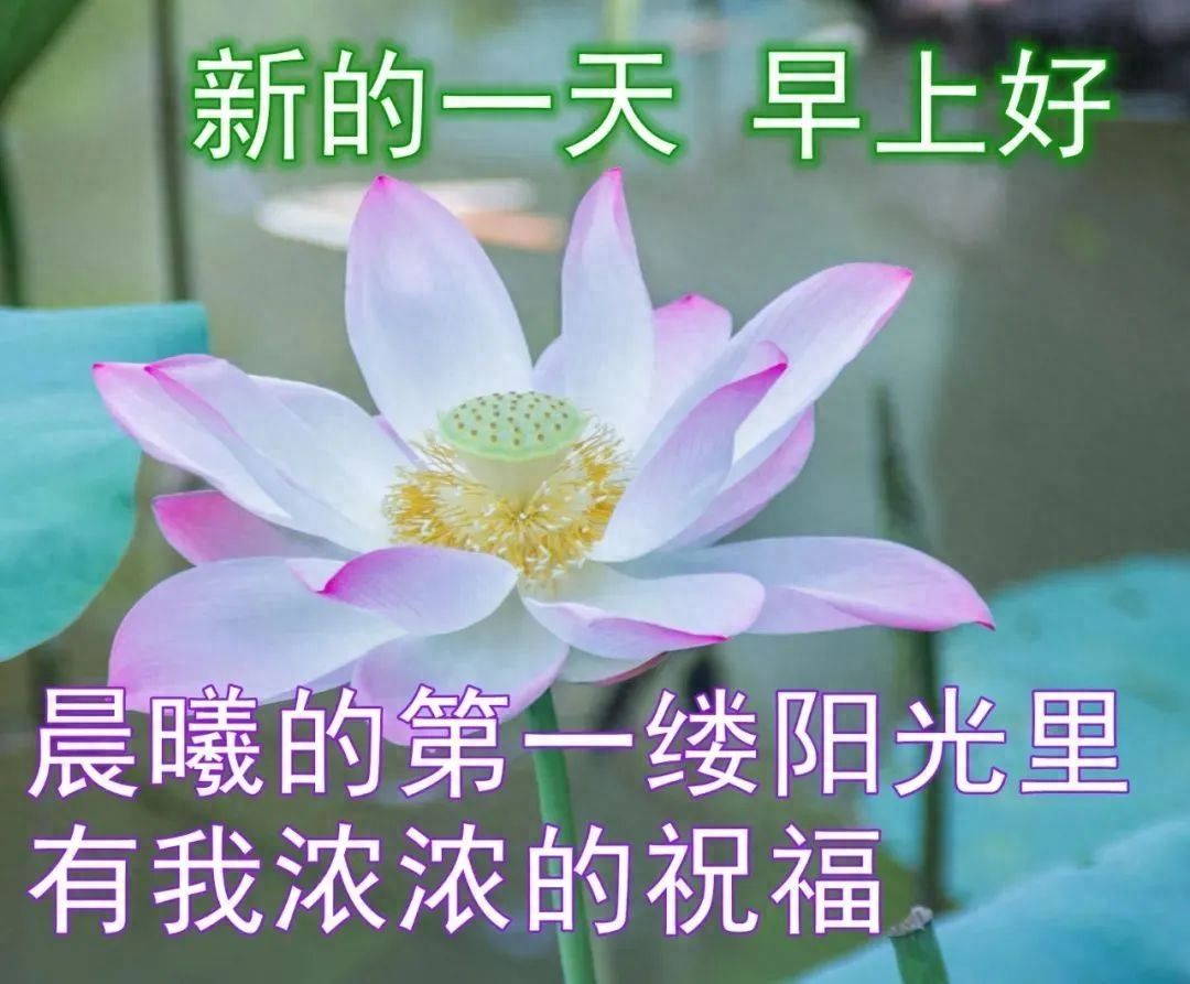 「2023.10.02」早安心语，正能量坚持努力的美好句子 暖心说说图片(图33)