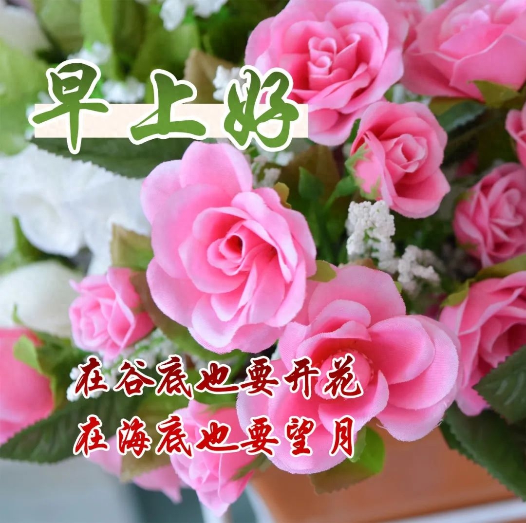 「2023.10.02」早安心语，正能量坚持努力的美好句子 暖心说说图片(图39)