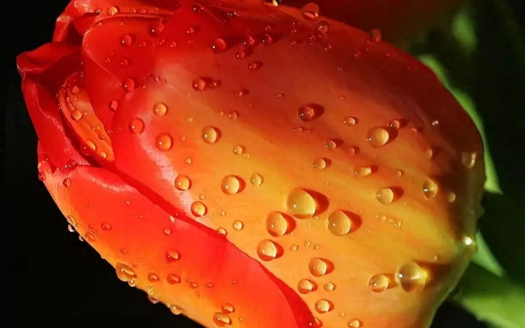 「2023.10.02」早安心语，正能量坚持努力的美好句子 暖心说说图片(图40)