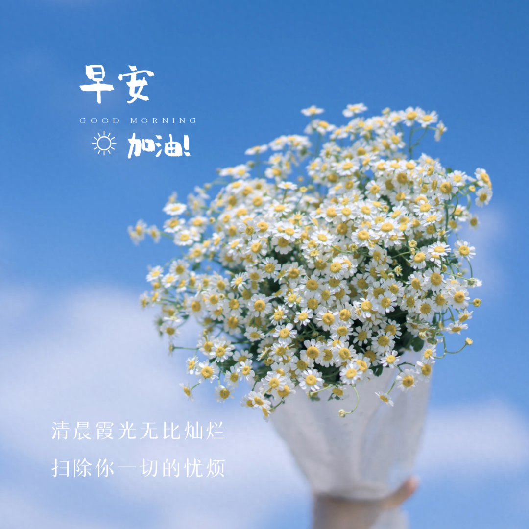 「2023.10.02」早安心语，正能量坚持努力的美好句子 暖心说说图片(图42)