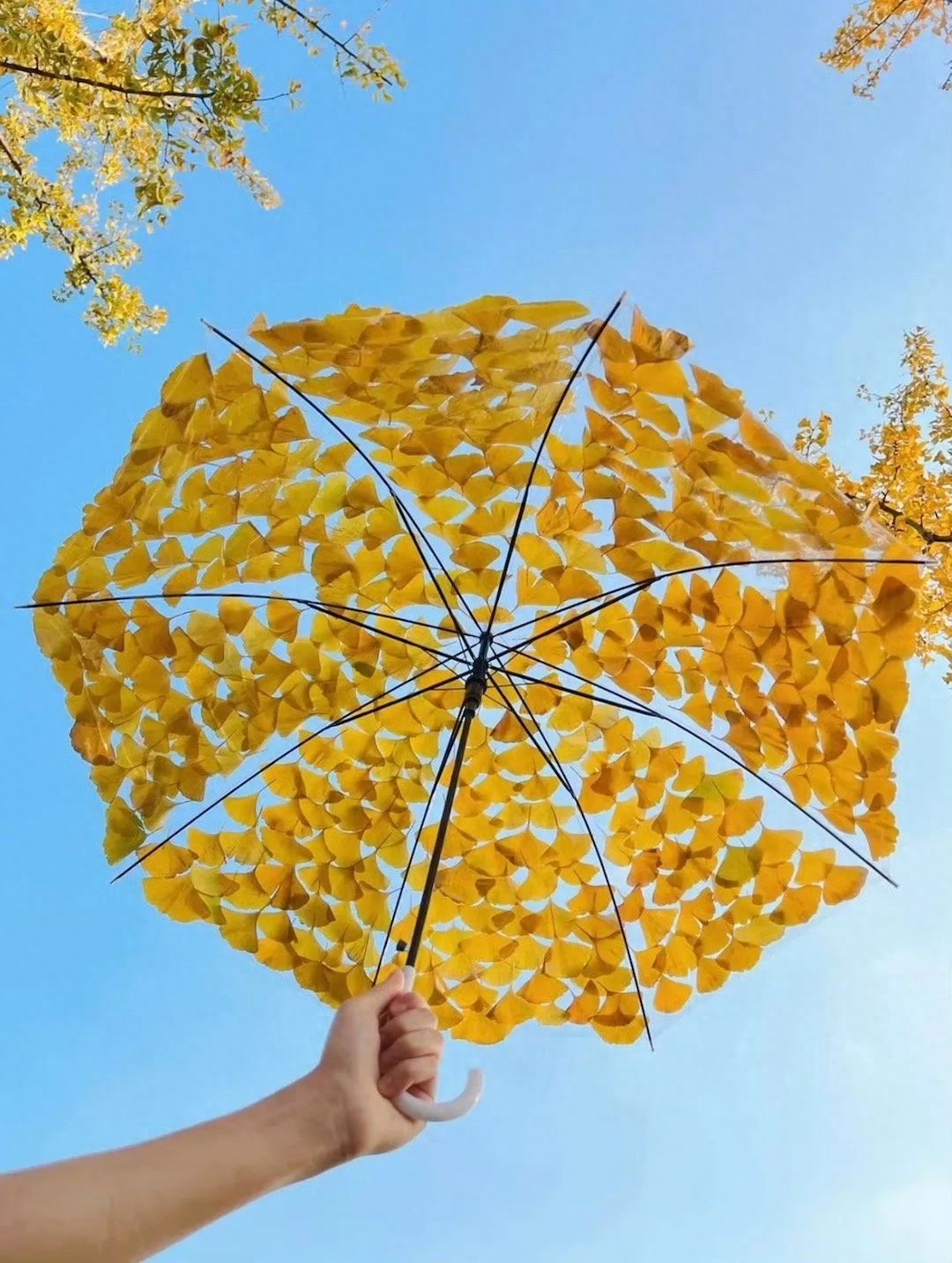 「2023.10.02」早安心语，正能量坚持努力的美好句子 暖心说说图片(图57)