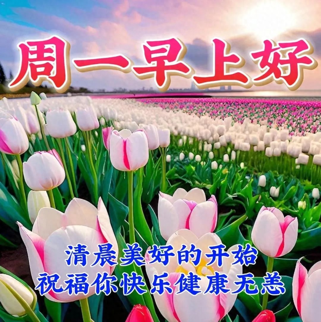 「2023.10.02」早安心语，正能量坚持努力的美好句子 暖心说说图片(图62)