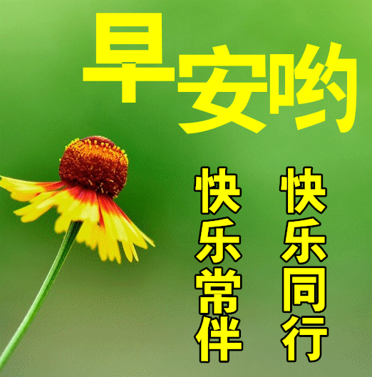 「2023.10.02」早安心语，正能量坚持努力的美好句子 暖心说说图片(图67)