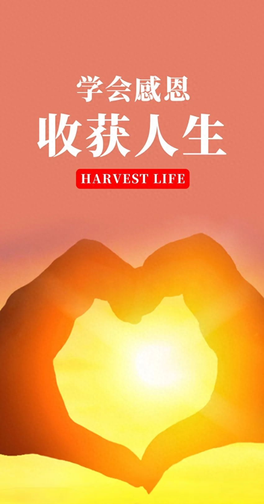 「2023.09.24」早安心语，正能量入心语录说说，深刻领悟语句图片(图4)