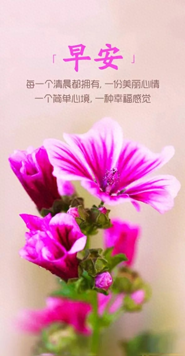 「2023.09.24」早安心语，正能量入心语录说说，深刻领悟语句图片(图12)