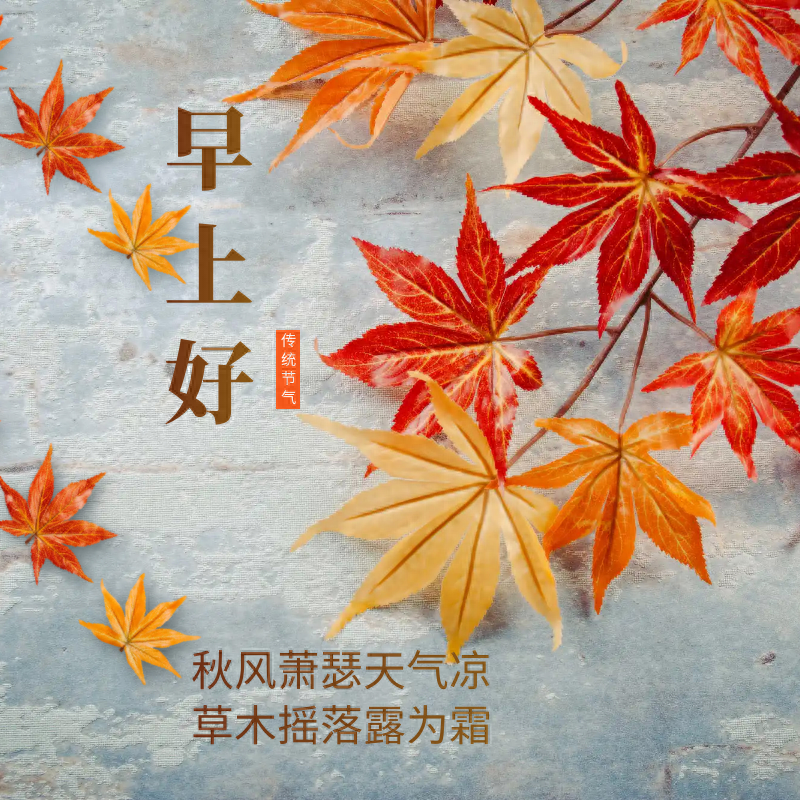 「2023.09.24」早安心语，正能量入心语录说说，深刻领悟语句图片(图25)