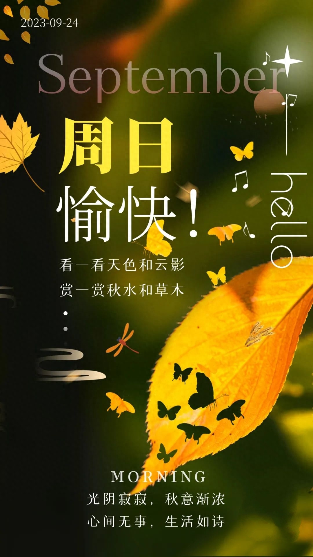 「2023.09.24」早安心语，正能量入心语录说说，深刻领悟语句图片(图27)