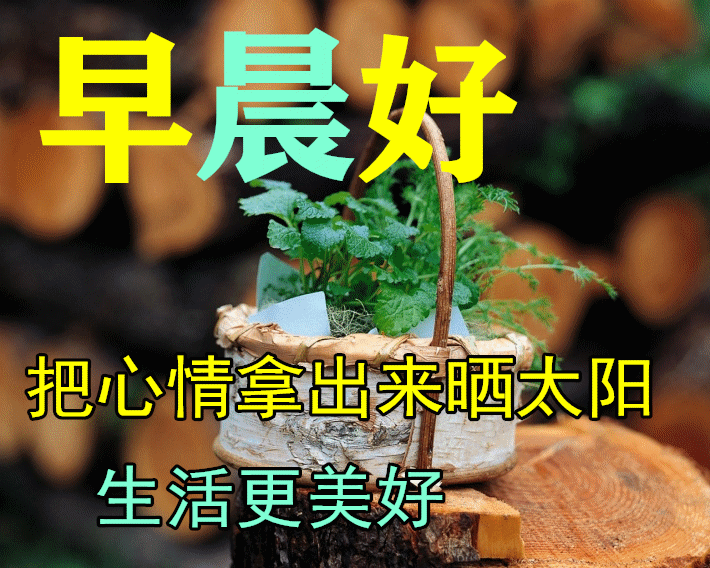 「2023.09.24」早安心语，正能量入心语录说说，深刻领悟语句图片(图40)