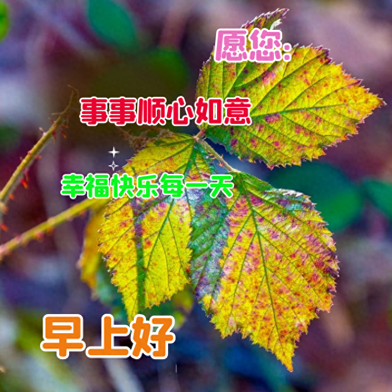 「2023.09.24」早安心语，正能量入心语录说说，深刻领悟语句图片(图41)