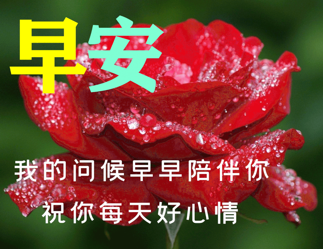 「2023.09.24」早安心语，正能量入心语录说说，深刻领悟语句图片(图43)