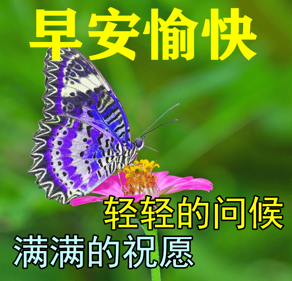 「2023.09.24」早安心语，正能量入心语录说说，深刻领悟语句图片(图44)