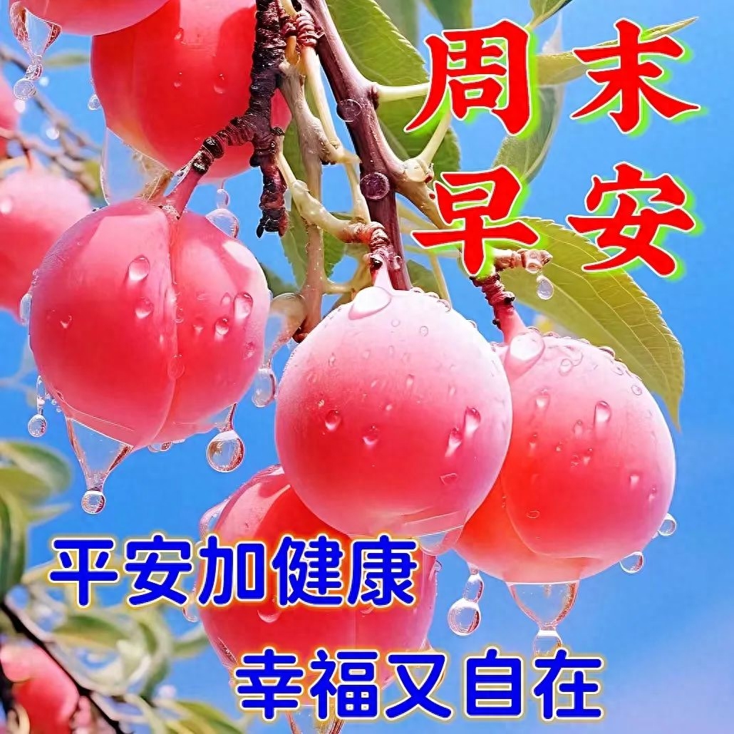 「2023.09.24」早安心语，正能量入心语录说说，深刻领悟语句图片(图49)