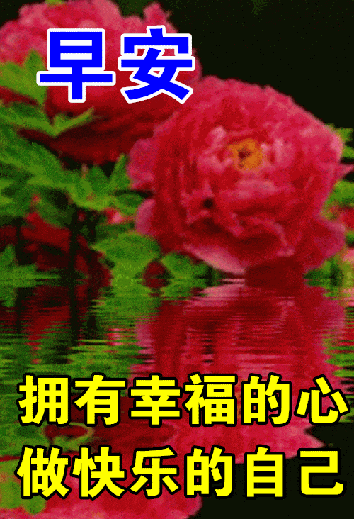 「2023.09.24」早安心语，正能量入心语录说说，深刻领悟语句图片(图62)