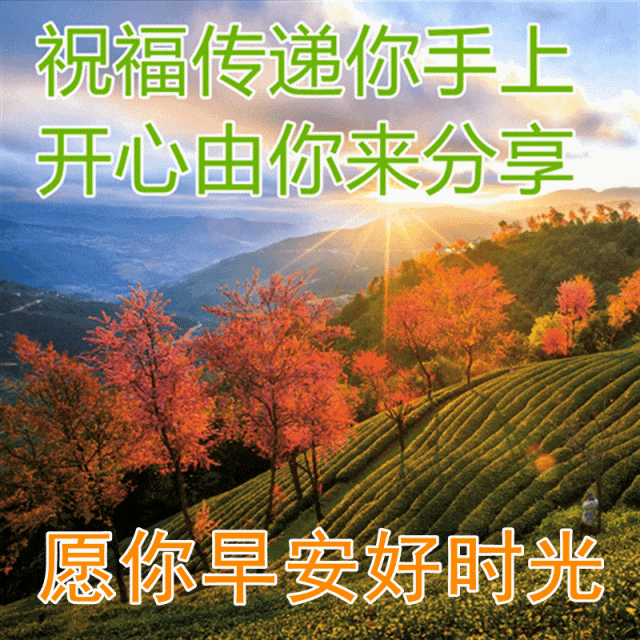 最新朋友圈早上好问候祝福图片带字温馨，正能量有哲理的励志短句(图3)