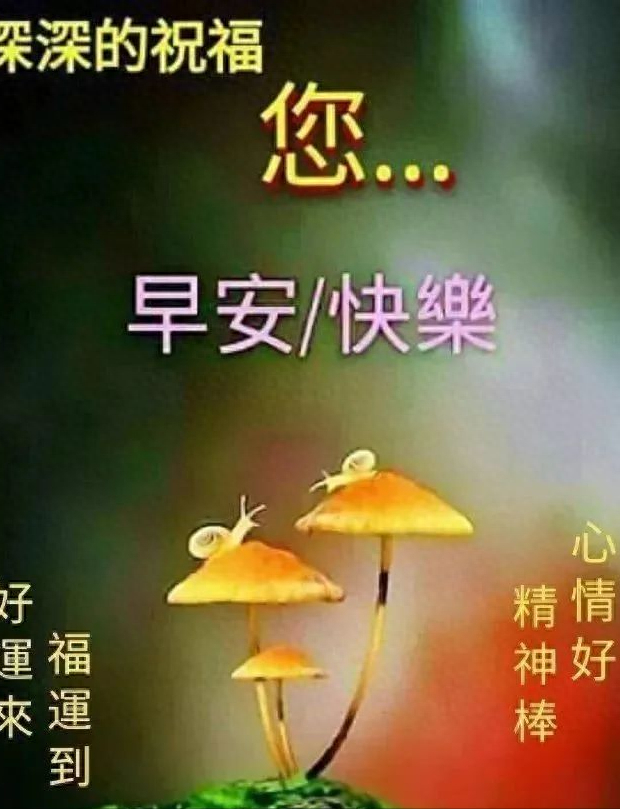 最新朋友圈早上好问候祝福图片带字温馨，正能量有哲理的励志短句(图4)
