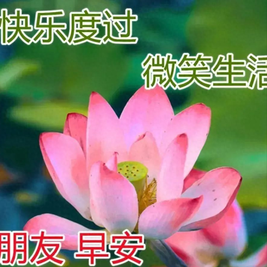最新朋友圈早上好问候祝福图片带字温馨，正能量有哲理的励志短句(图5)