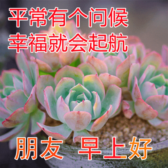 最新朋友圈早上好问候祝福图片带字温馨，正能量有哲理的励志短句(图8)