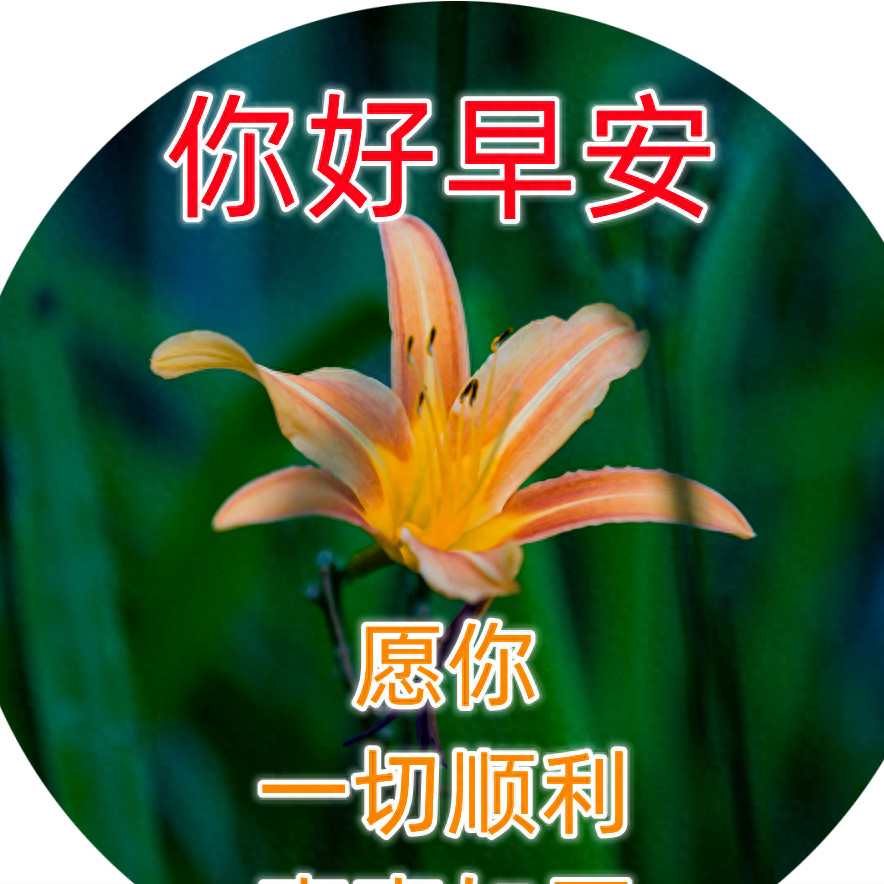 最新朋友圈早上好问候祝福图片带字温馨，正能量有哲理的励志短句(图10)