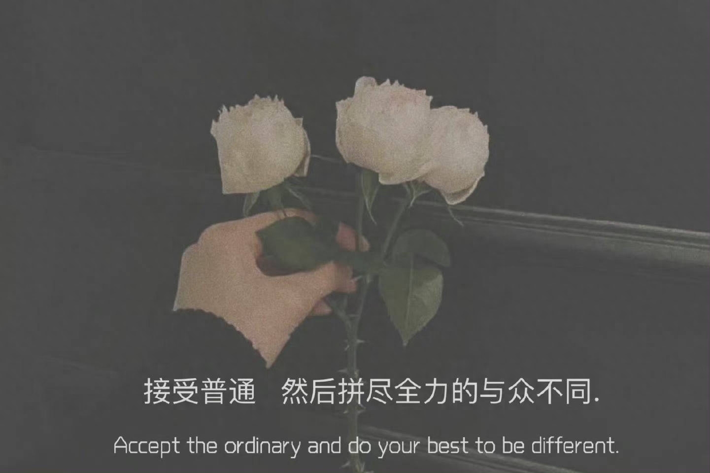 杂句文案‖梦里梦到的人，是醒来不能说话的人(图2)