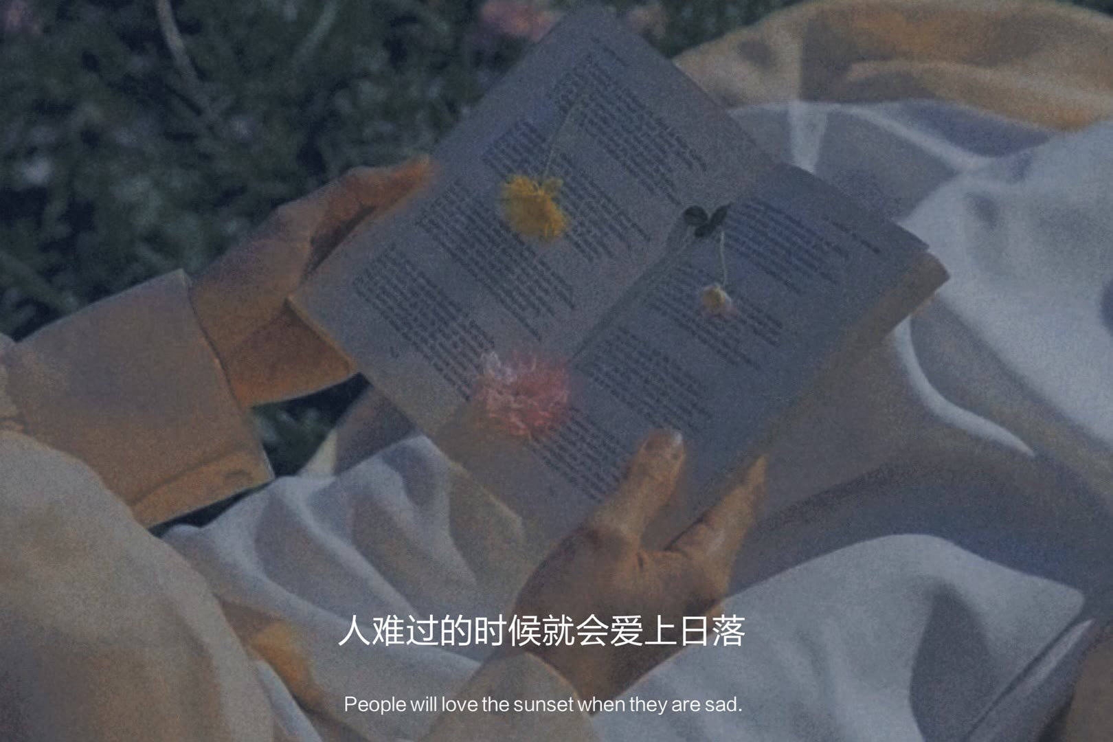 杂句文案‖梦里梦到的人，是醒来不能说话的人(图4)