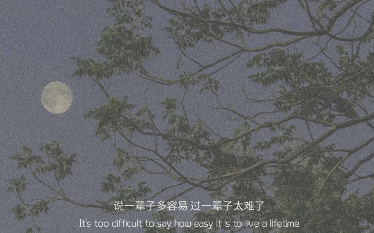 杂句文案‖梦里梦到的人，是醒来不能说话的人(图5)